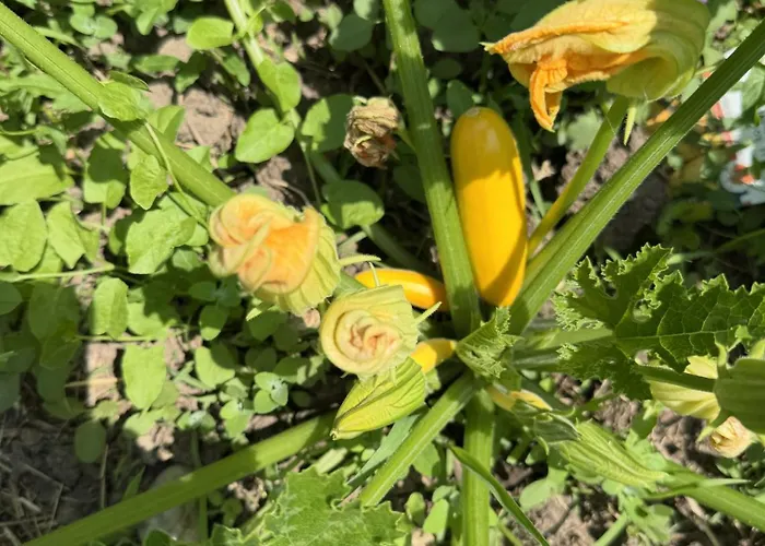 L'epicerie De 別荘